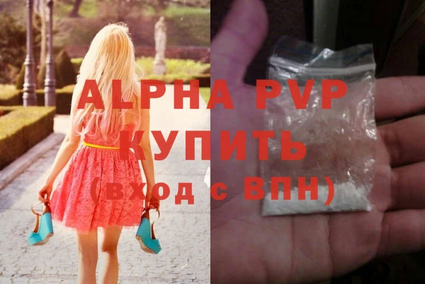 ПСИЛОЦИБИНОВЫЕ ГРИБЫ Няндома