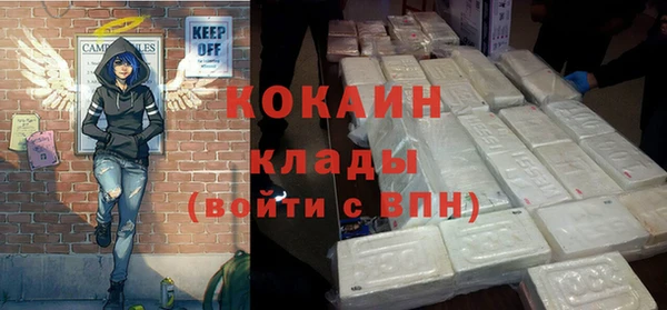 ПСИЛОЦИБИНОВЫЕ ГРИБЫ Няндома