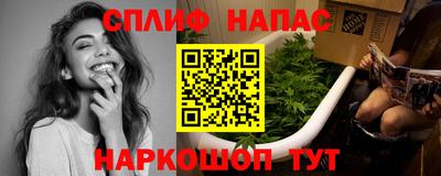 сатива Волжский