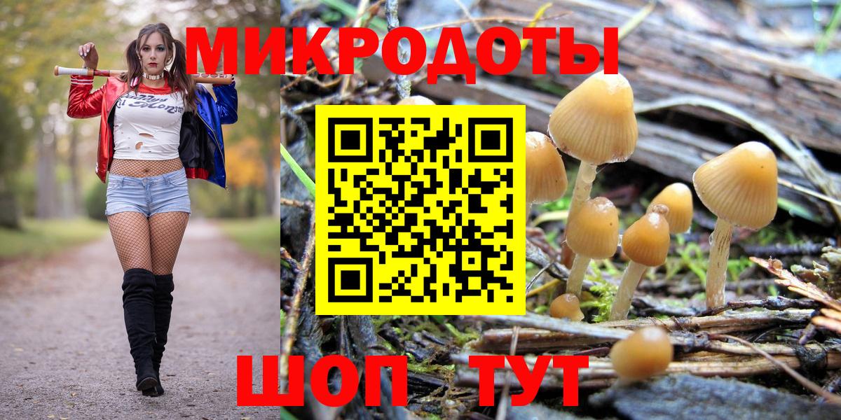 Псилоцибиновые грибы мицелий Кинель