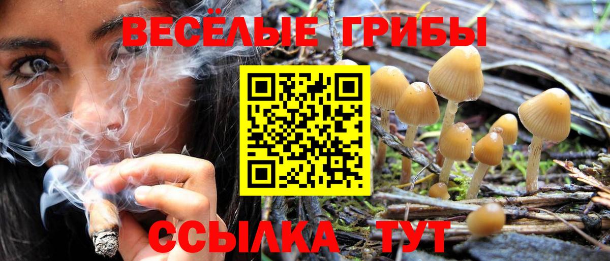 Псилоцибиновые грибы GOLDEN TEACHER Кинель