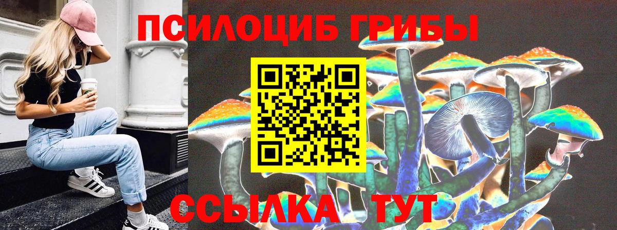 Псилоцибиновые грибы прущие грибы  Вход с VPN  Кинель 