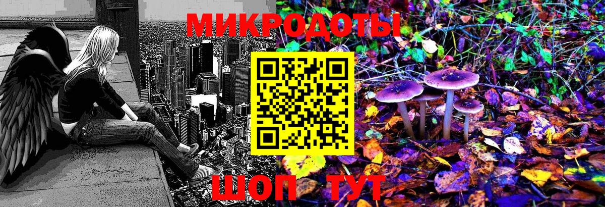 Псилоцибиновые грибы мицелий  Кинель 